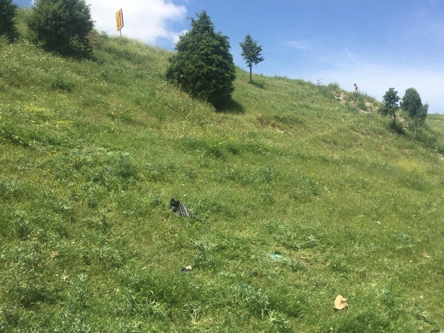 Meydana gelen trafik kazasında araçta bulunan 7 kişiden Tayfun Yıldız, Yağmur Gümüş (22), Emine Nur Kökçü (4),Nural Kökçü(3),Sibel Yıldız(18( Yağmur Gümüş(21), Hira Yıldız(3) yaralandılar.