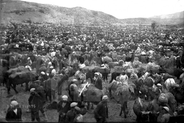 Panayırda bulunan hayvan pazarından bir görüntü