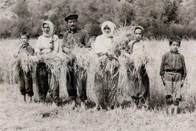 Çeltik tarlasından görüntü.