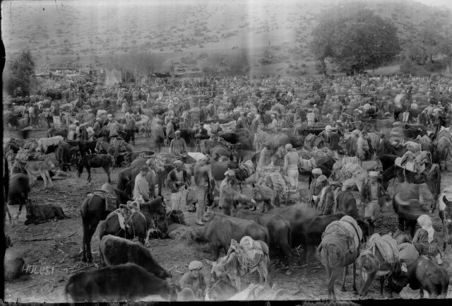 Tarihi Boyabat Panayırı'nı hiç böyle görmediniz