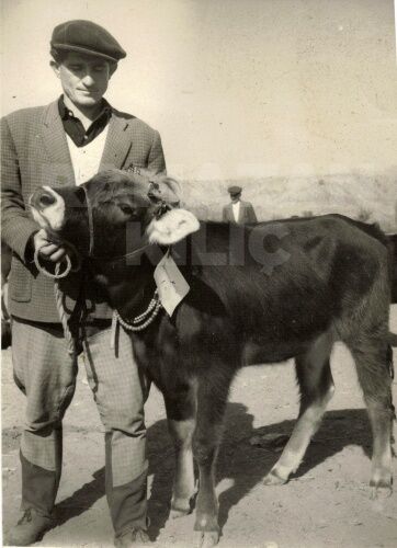 Tarihi Boyabat Panayırı'nı hiç böyle görmediniz