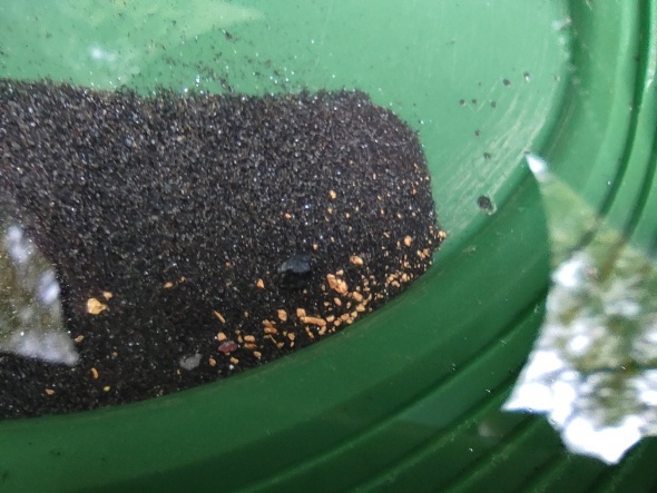 Günlük 1 ton 500 kilo toprak eleyen altın avcıları gram gram altın bulup hatırı sayılır kazanç elde ediyor. Kaçak olarak define kazarak altın arayanlara nispeten derelerden altın toplamanın yasal olduğunu belirten meraklılar; Türkiye&#039;de bu işi yapan on binlerce kişinin bulunduğunu belirtiyor.