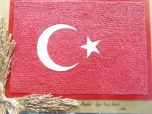 Boyabat Çeltiği Bakın Neye Dönüştü ?