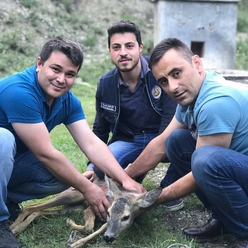 Ekipler  veteriner hekimler ile birlikte elik yavrusunun gerekli sağlık kontrollerini yaptıktan bulunduğu bölge olan Çatpınar mıntıkasına geri bıraktılar.

-Mahmut Coşkun