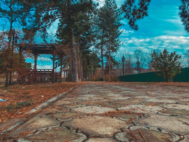 Birbirinden güzel Boyabat fotoğrafları