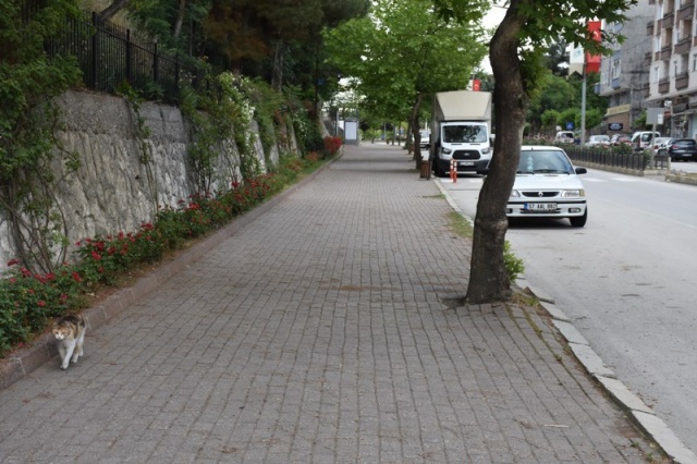 Bayramın 2.günü Boyabat'tan görüntüler
