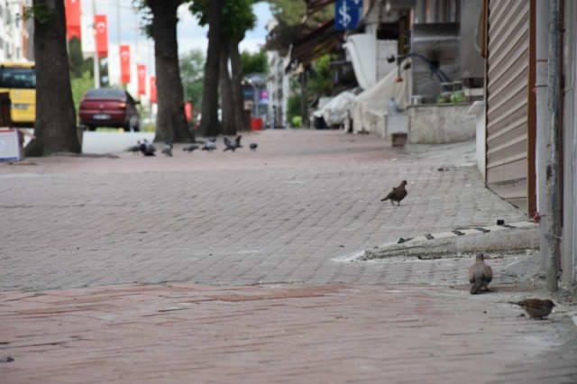 Bayramın 2.günü Boyabat'tan görüntüler