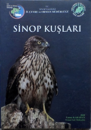 Boyabat ve çevresine ışık tutan eserler