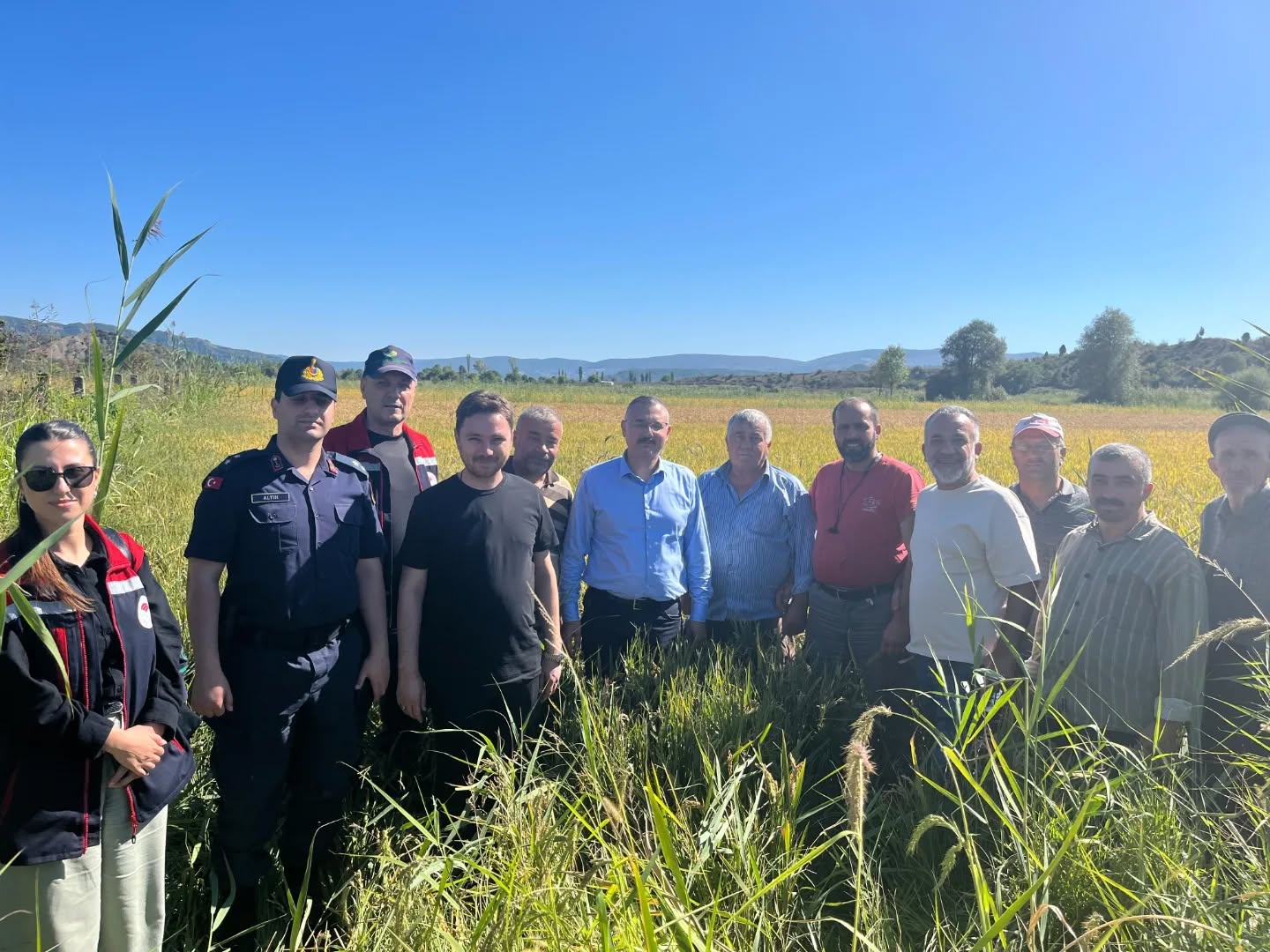 553194030 18071465003517720 3967372342002798966 N.webp