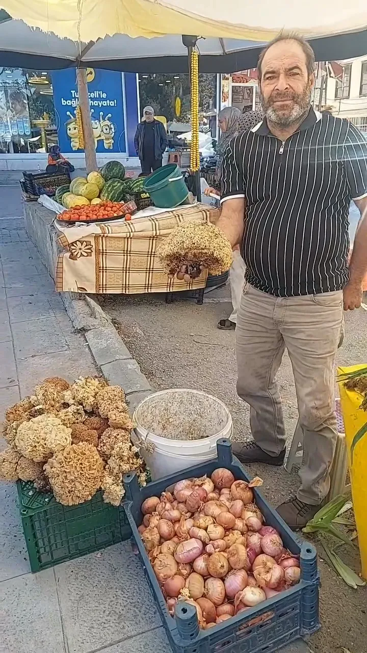 Ve Mantar Sezonu Basladikuzu Gobegi Olarak Adlandirilan Mantar Koylu Pazarinda Tezgahta Yerini A Frame At 0M1S 68D1Ba2D57837