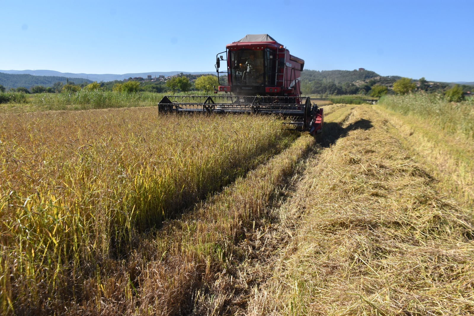 Whatsapp Image 2025 09 25 At 4.50.44 Pm 3