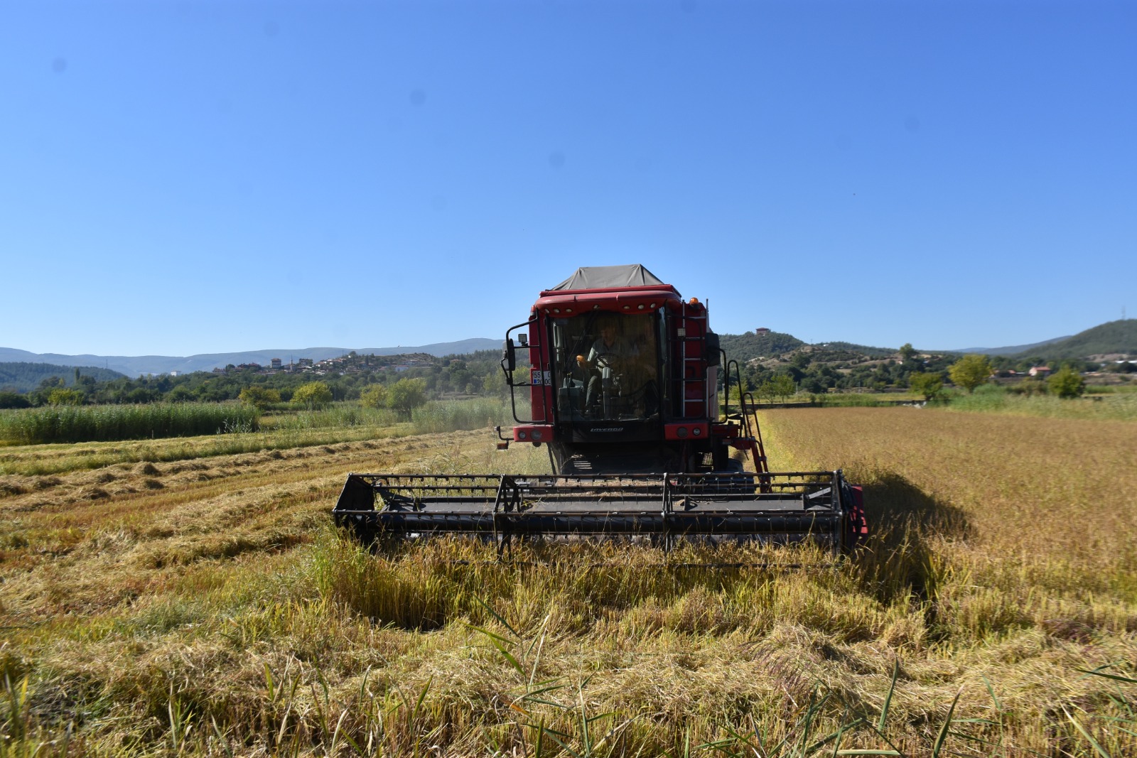 Whatsapp Image 2025 09 25 At 4.50.44 Pm