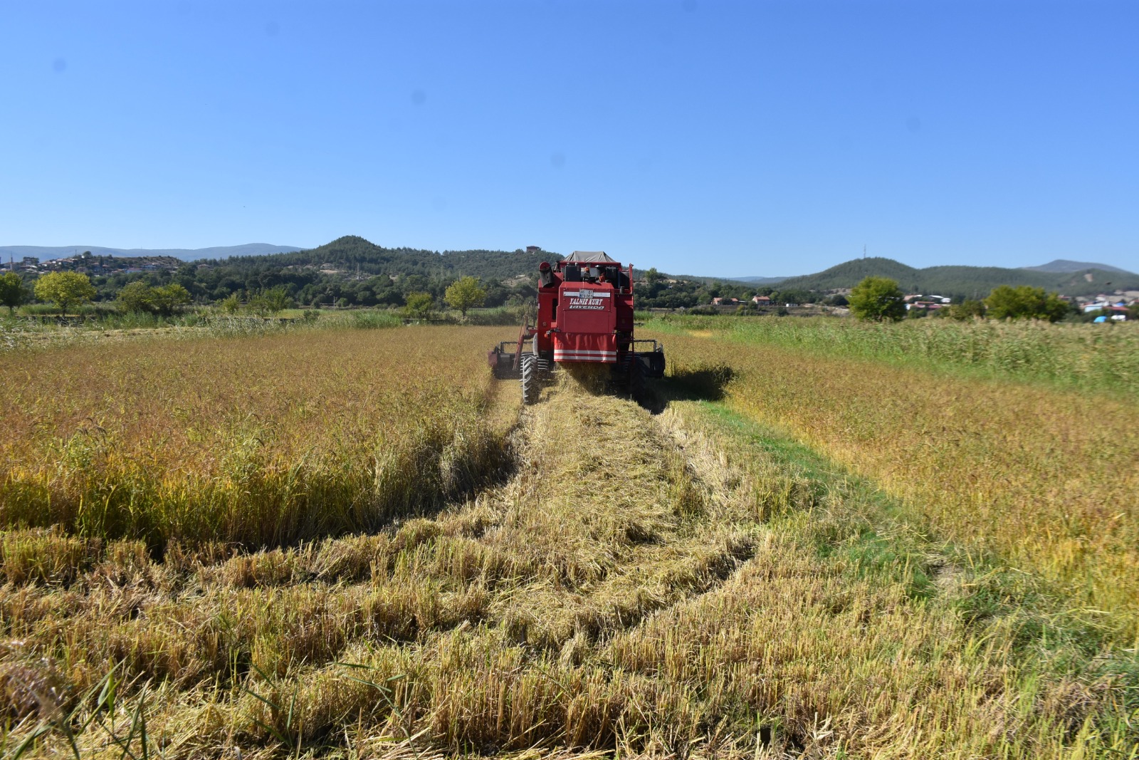 Whatsapp Image 2025 09 25 At 4.50.45 Pm 2