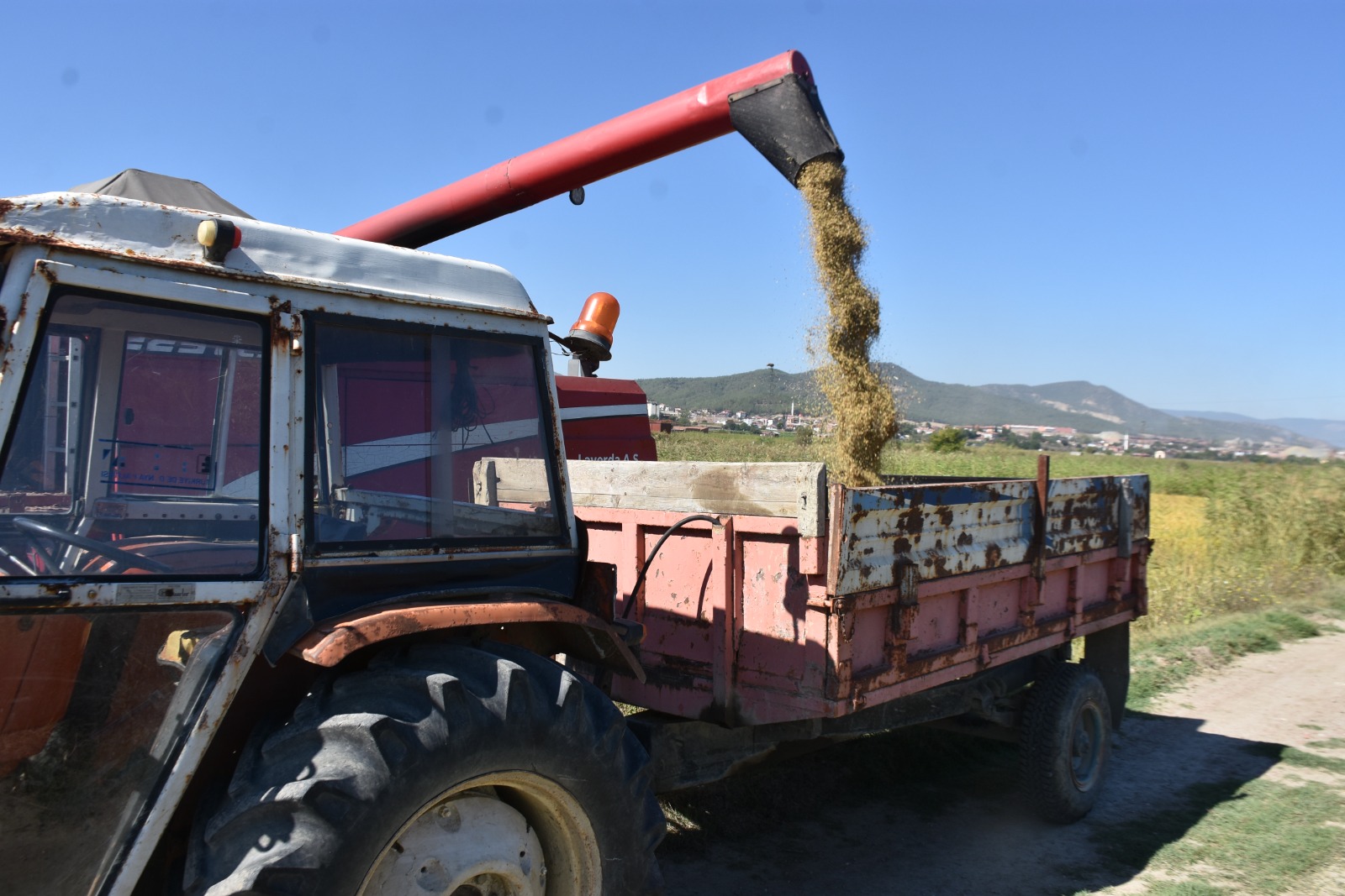 Whatsapp Image 2025 09 25 At 4.50.45 Pm 4