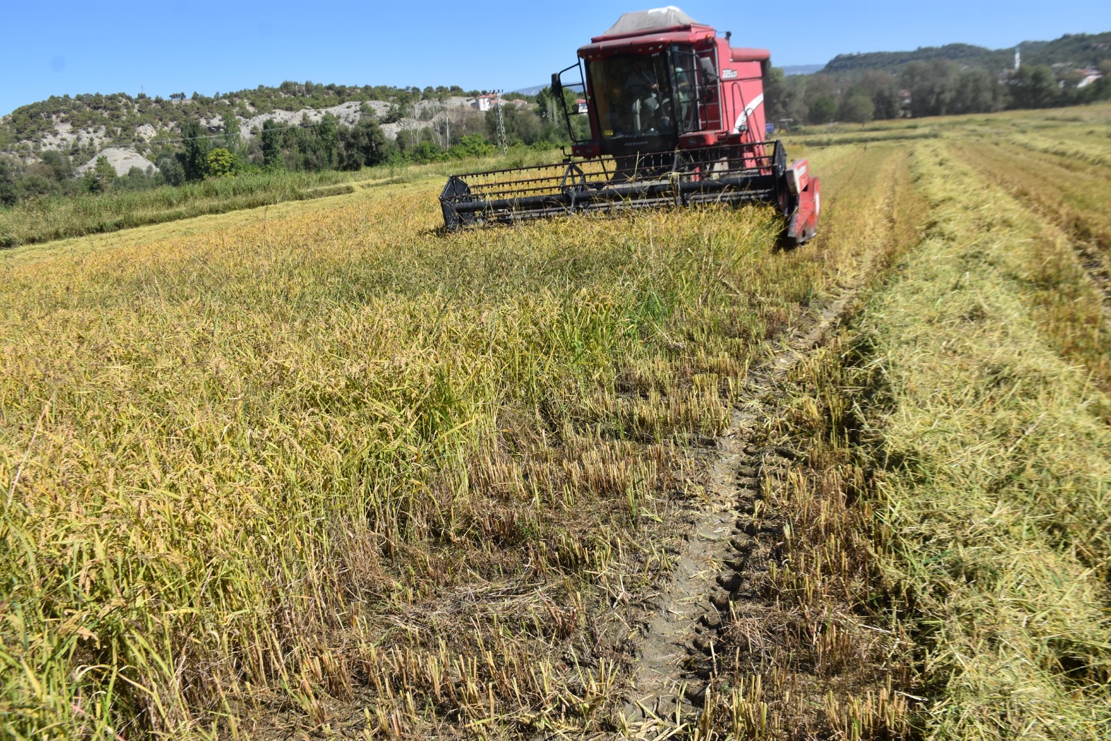 Whatsapp Image 2025 09 25 At 4.50.46 Pm 4