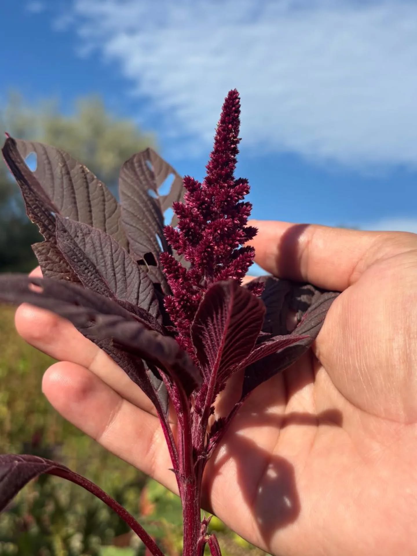 559864694 18073550180517720 9183945771069142400 N.webp-1