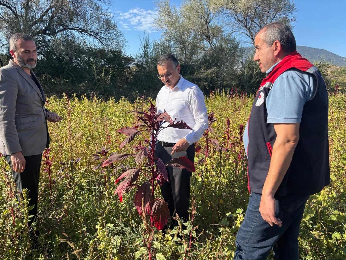 560545358 18073550171517720 905461978926960430 N.webp-1