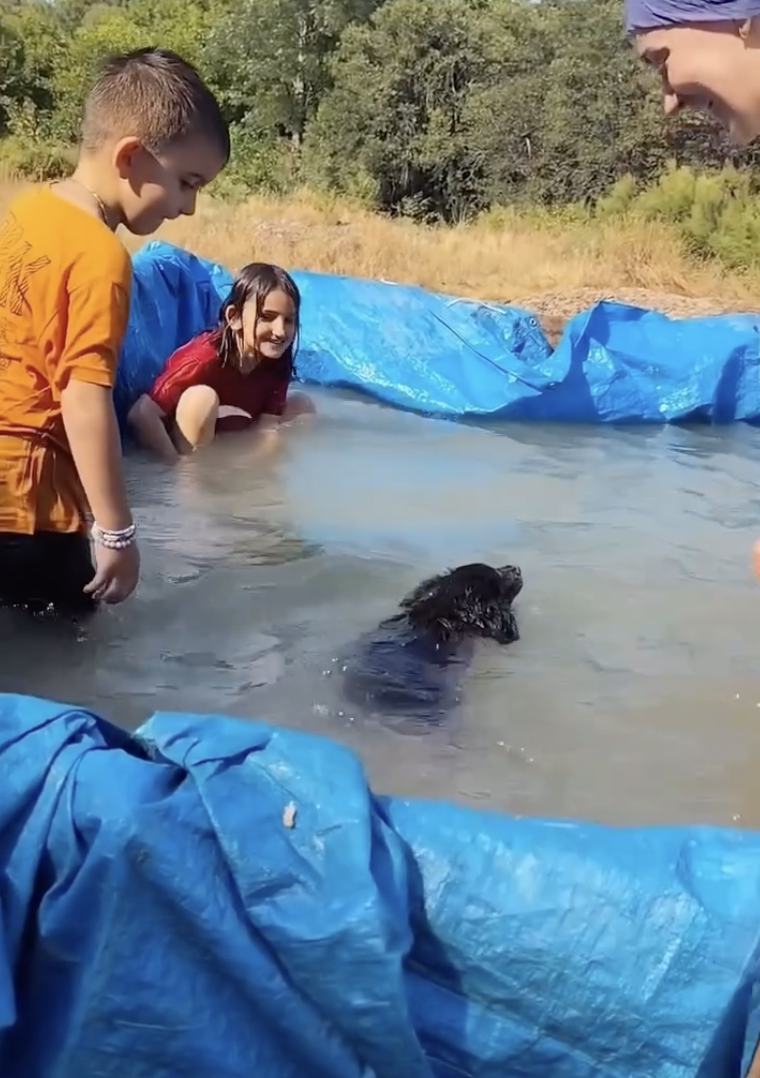 Ekran Resmi 2025 11 04 10.35.39