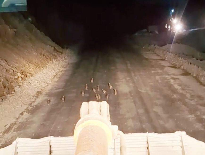 Ekran Resmi 2025 11 08 12.16.55