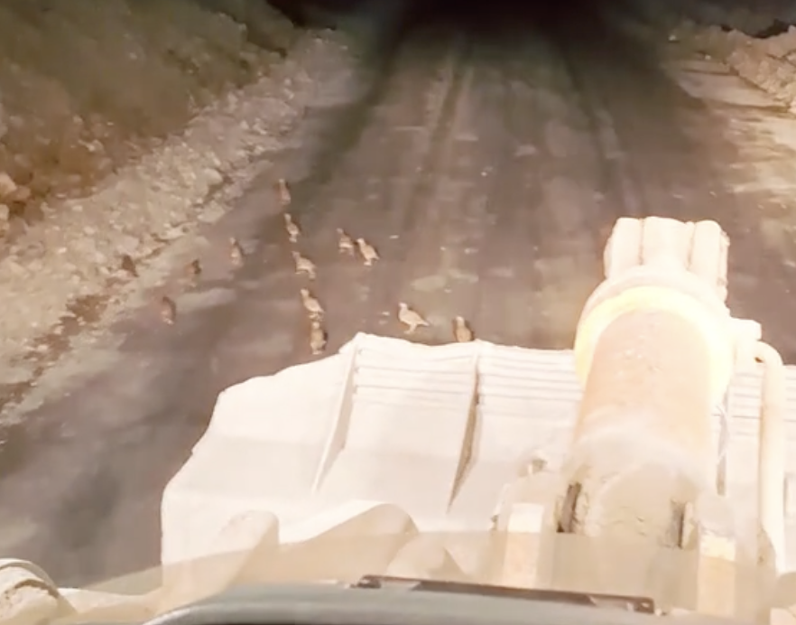 Ekran Resmi 2025 11 08 12.17.02