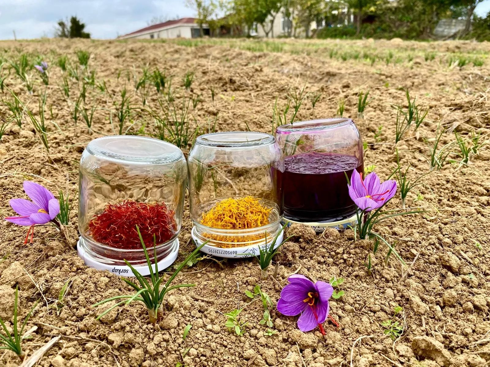 Whatsapp Image 2025 11 06 At 110432.Jpeg