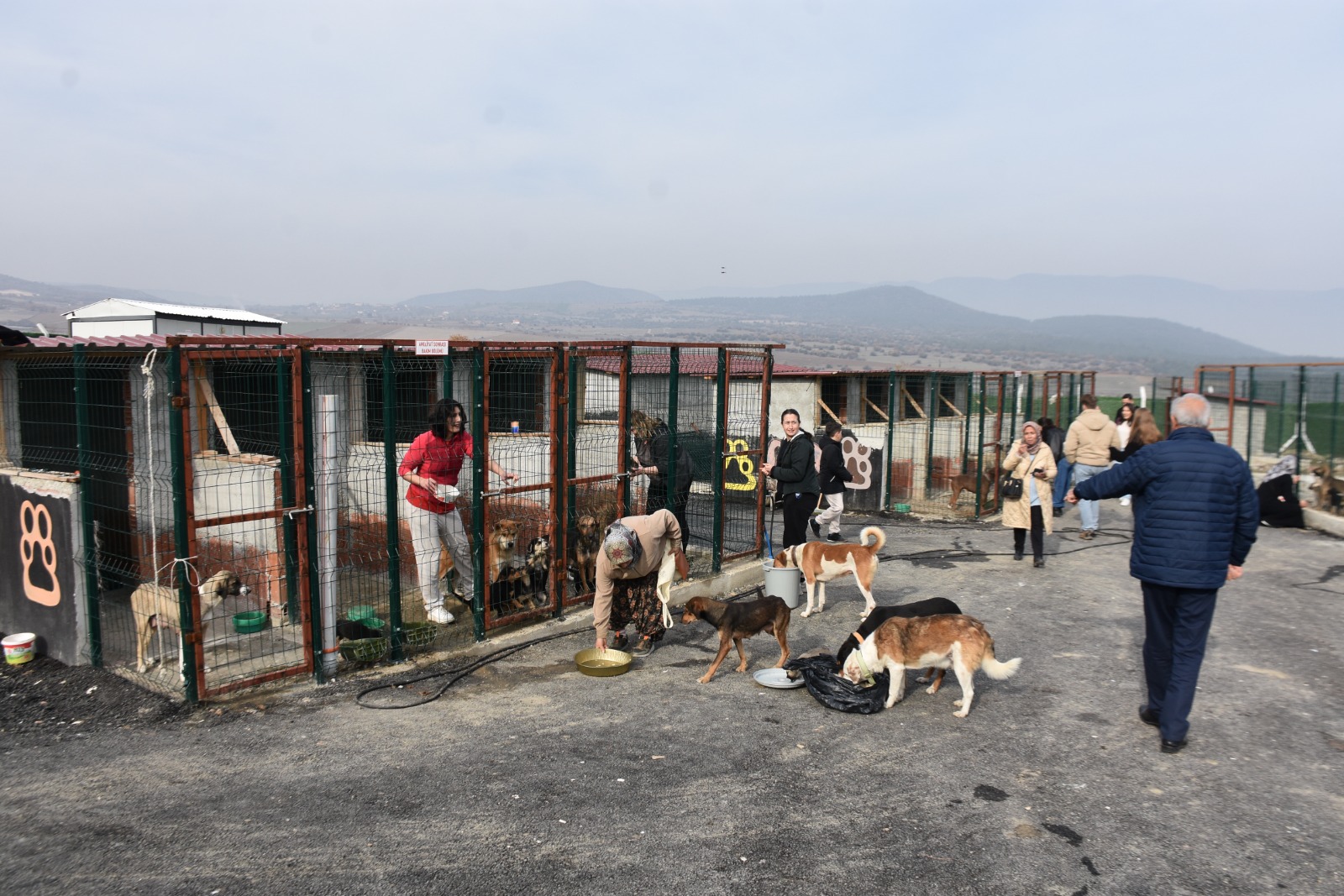 Whatsapp Image 2025 11 24 At 12.29.32 Pm