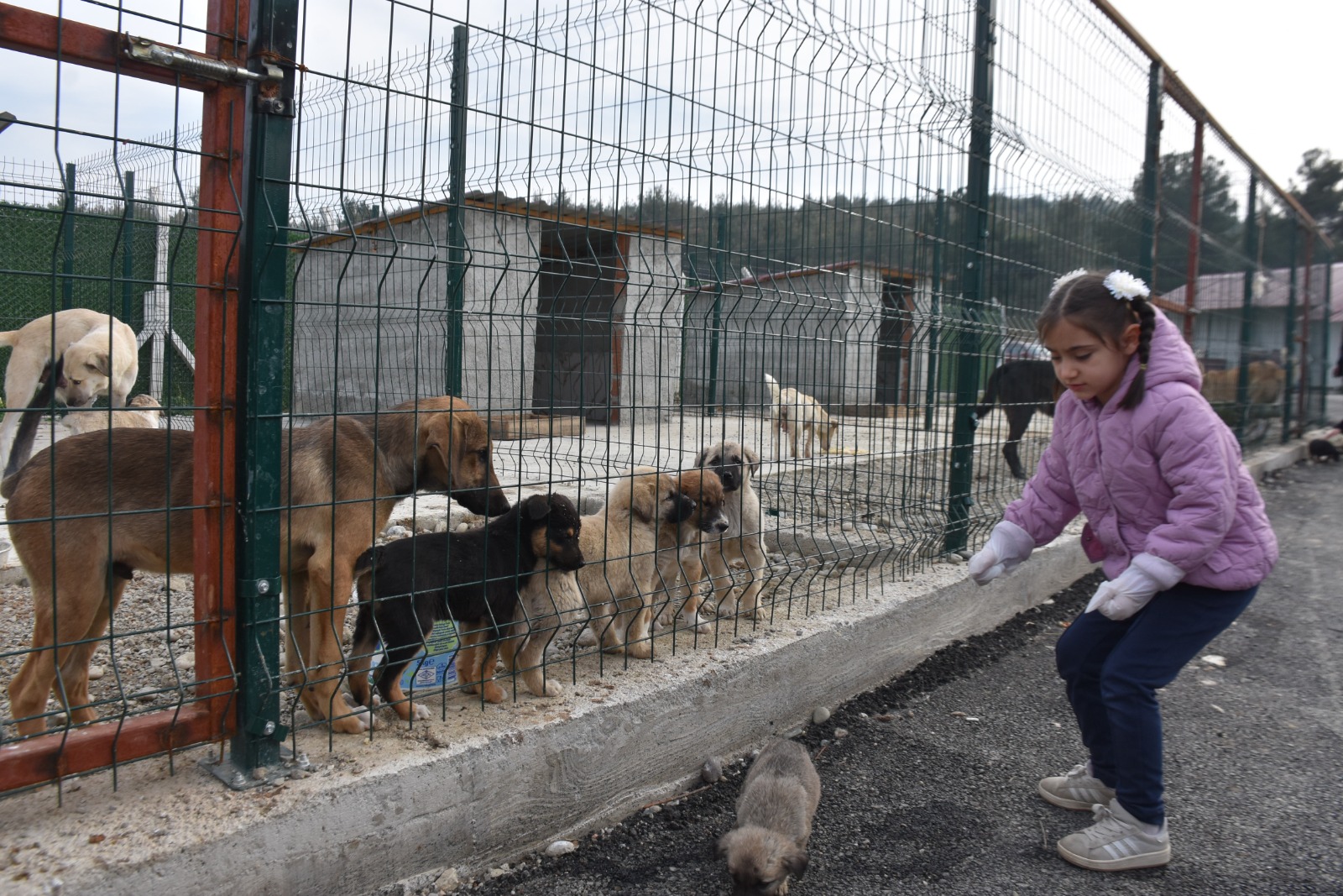 Whatsapp Image 2025 11 24 At 12.29.33 Pm 2