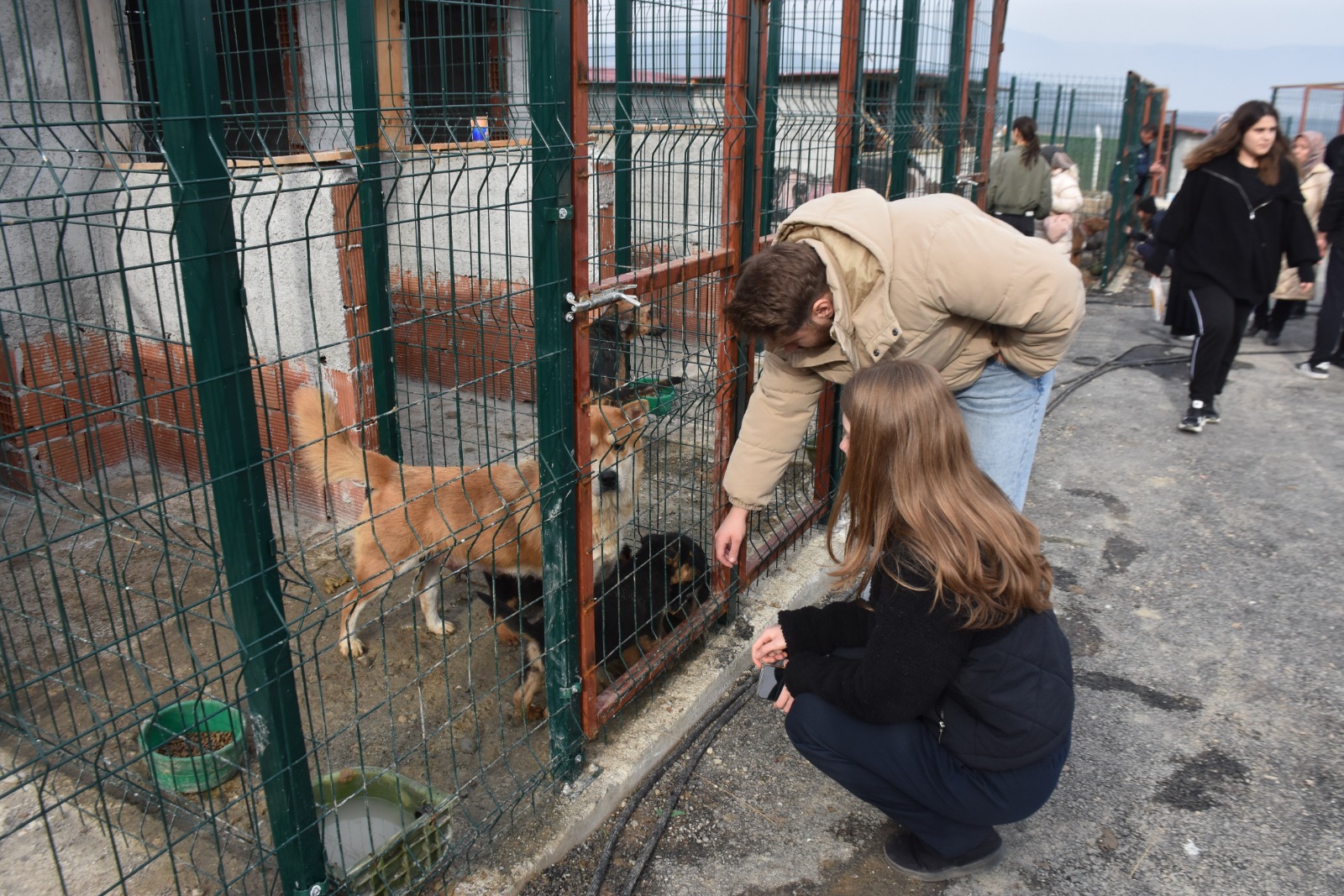 Whatsapp Image 2025 11 24 At 12.29.33 Pm 3