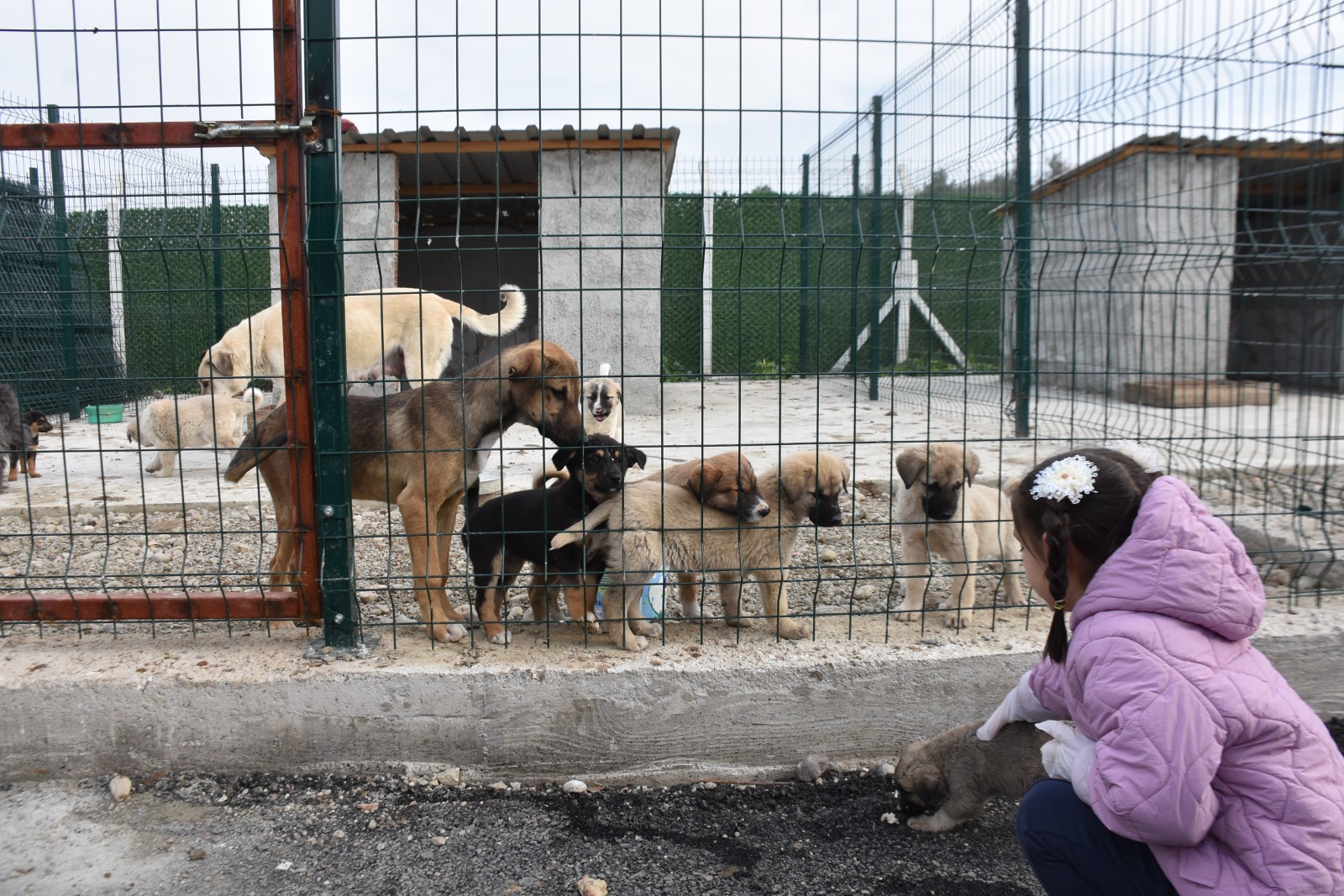 Whatsapp Image 2025 11 24 At 12.29.33 Pm