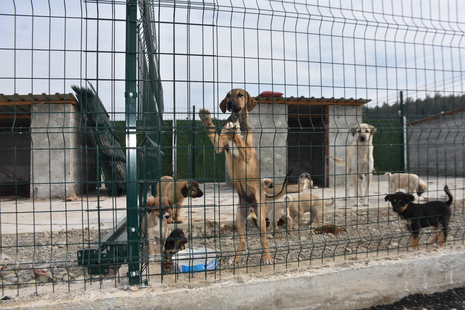 Whatsapp Image 2025 11 24 At 12.29.34 Pm 2