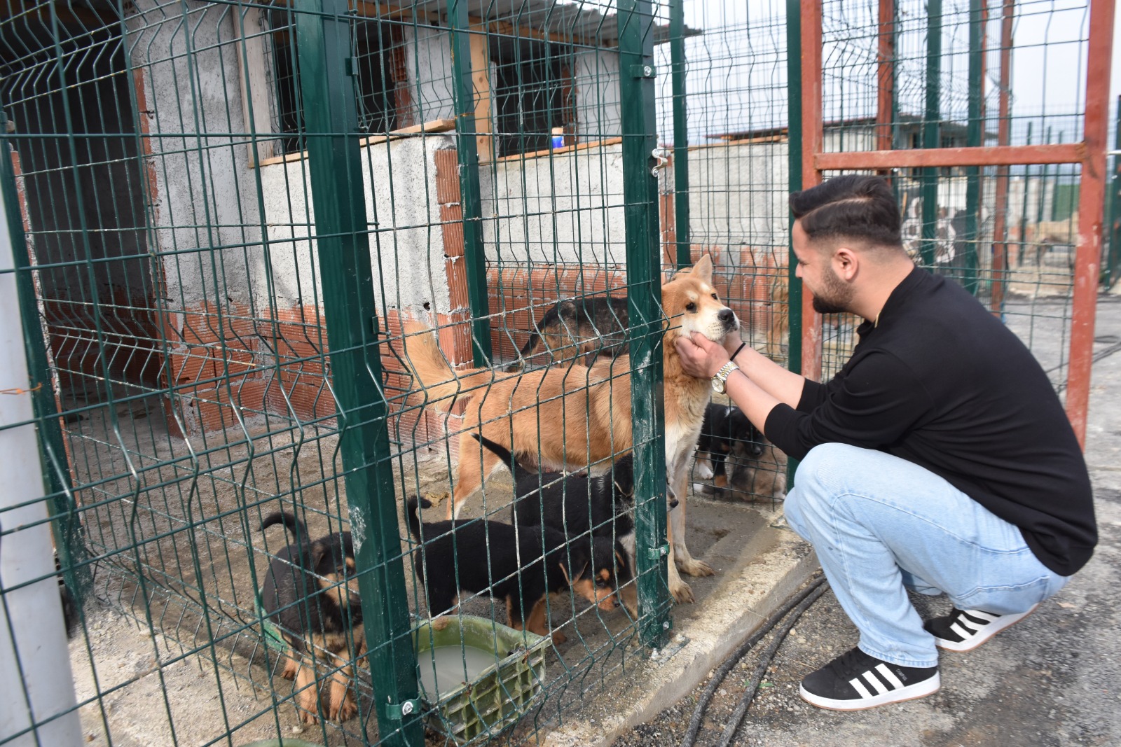 Whatsapp Image 2025 11 24 At 12.29.34 Pm