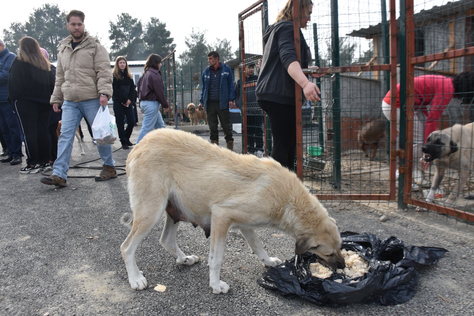 Whatsapp Image 2025 11 24 At 12.29.35 Pm 2