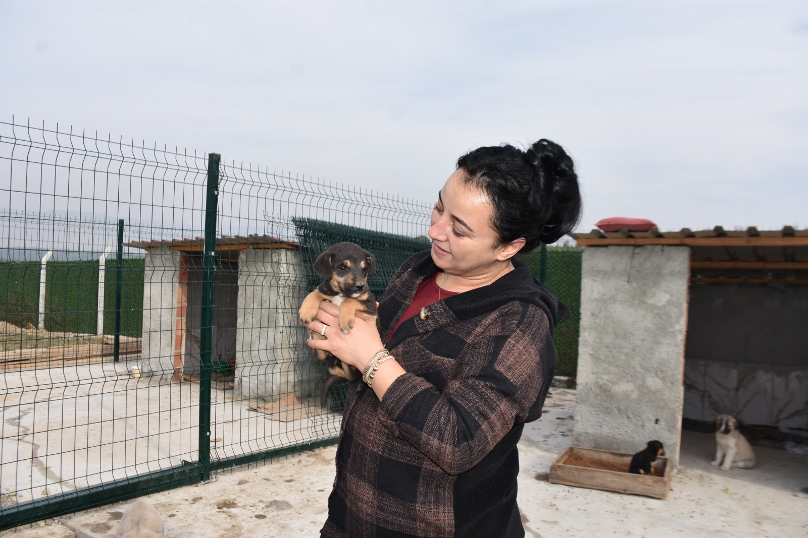 Whatsapp Image 2025 11 24 At 12.29.35 Pm