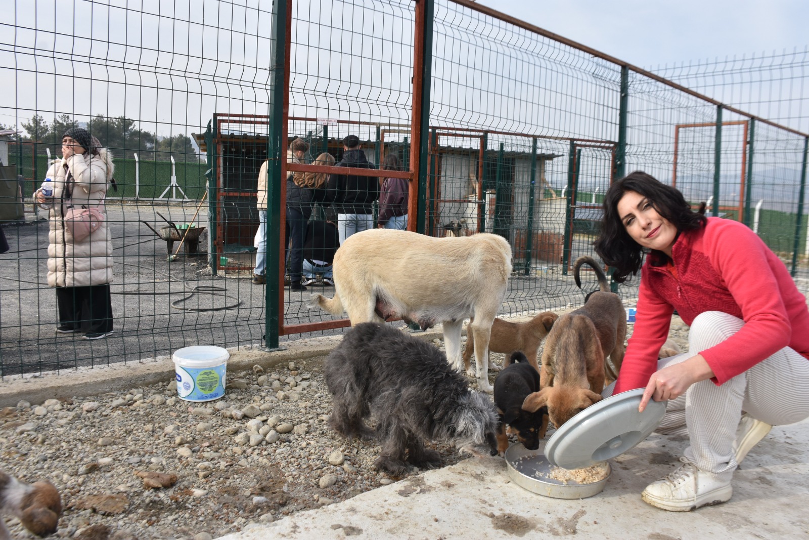 Whatsapp Image 2025 11 24 At 12.29.36 Pm