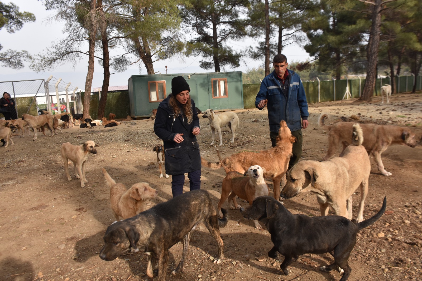 Whatsapp Image 2025 11 24 At 12.29.37 Pm 2