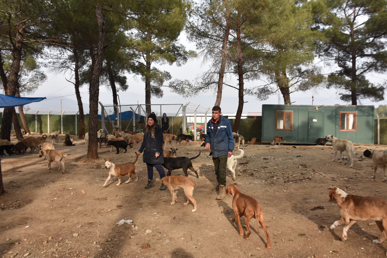 Whatsapp Image 2025 11 24 At 12.29.37 Pm 3