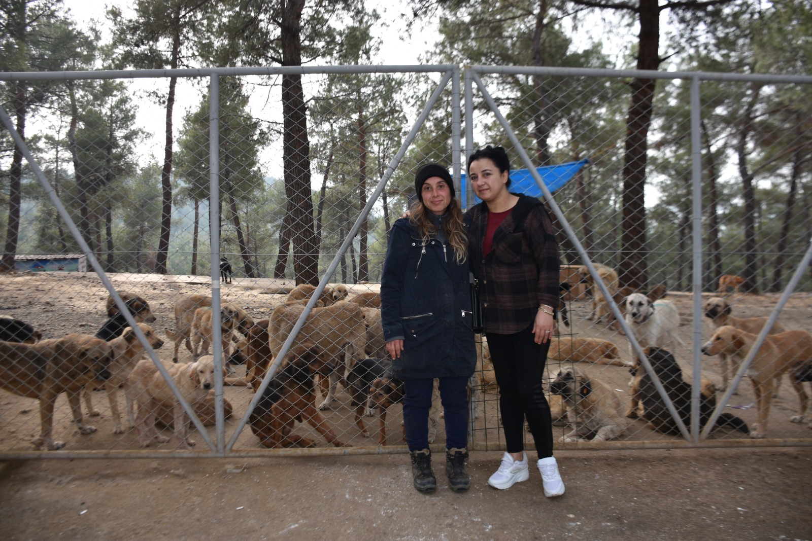 Whatsapp Image 2025 11 24 At 12.29.37 Pm