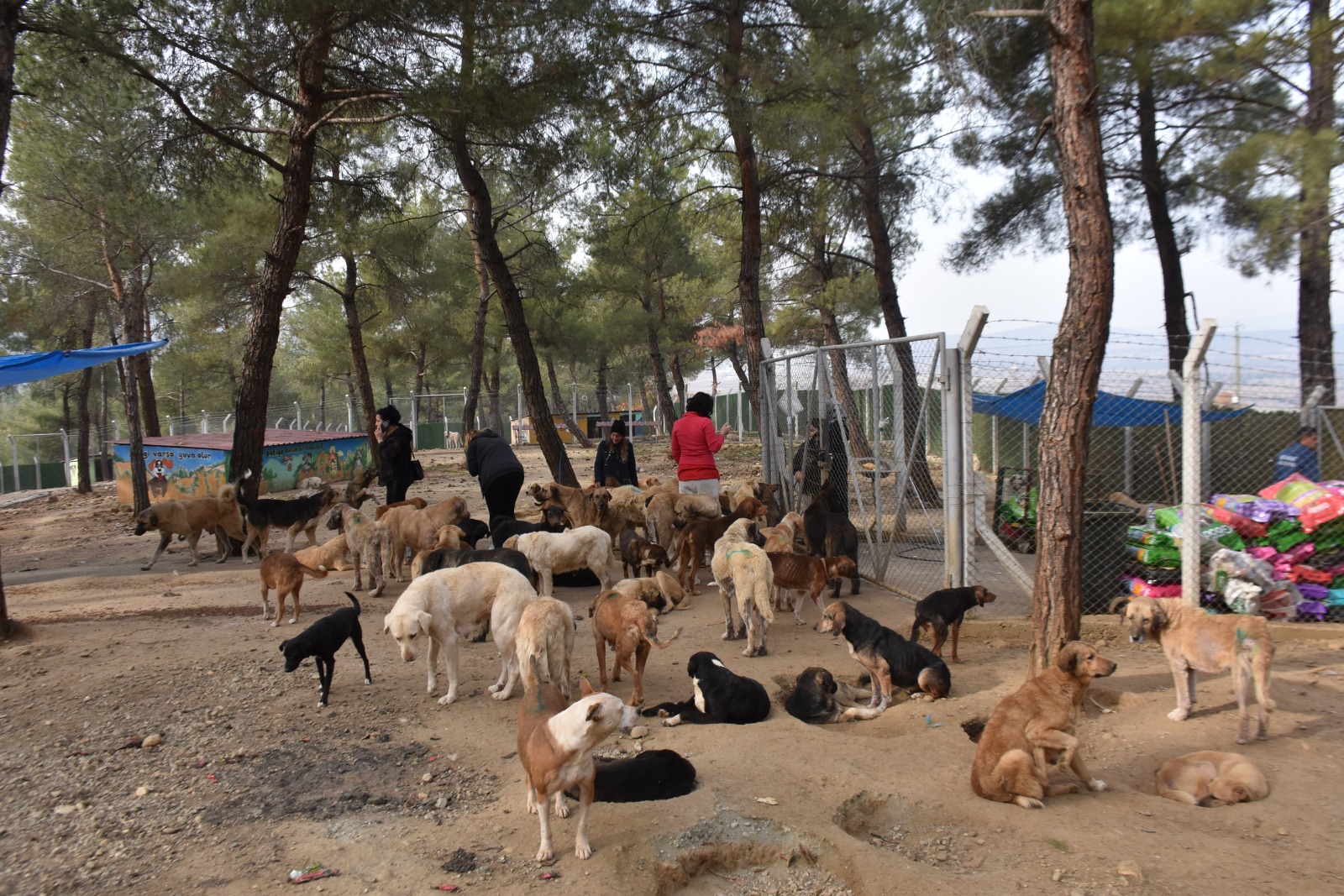 Whatsapp Image 2025 11 24 At 12.29.38 Pm 2