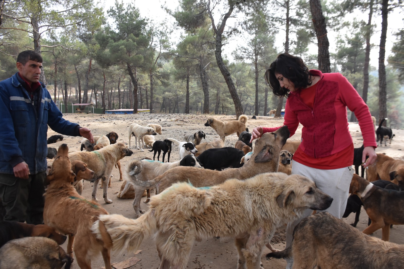 Whatsapp Image 2025 11 24 At 12.29.38 Pm 3