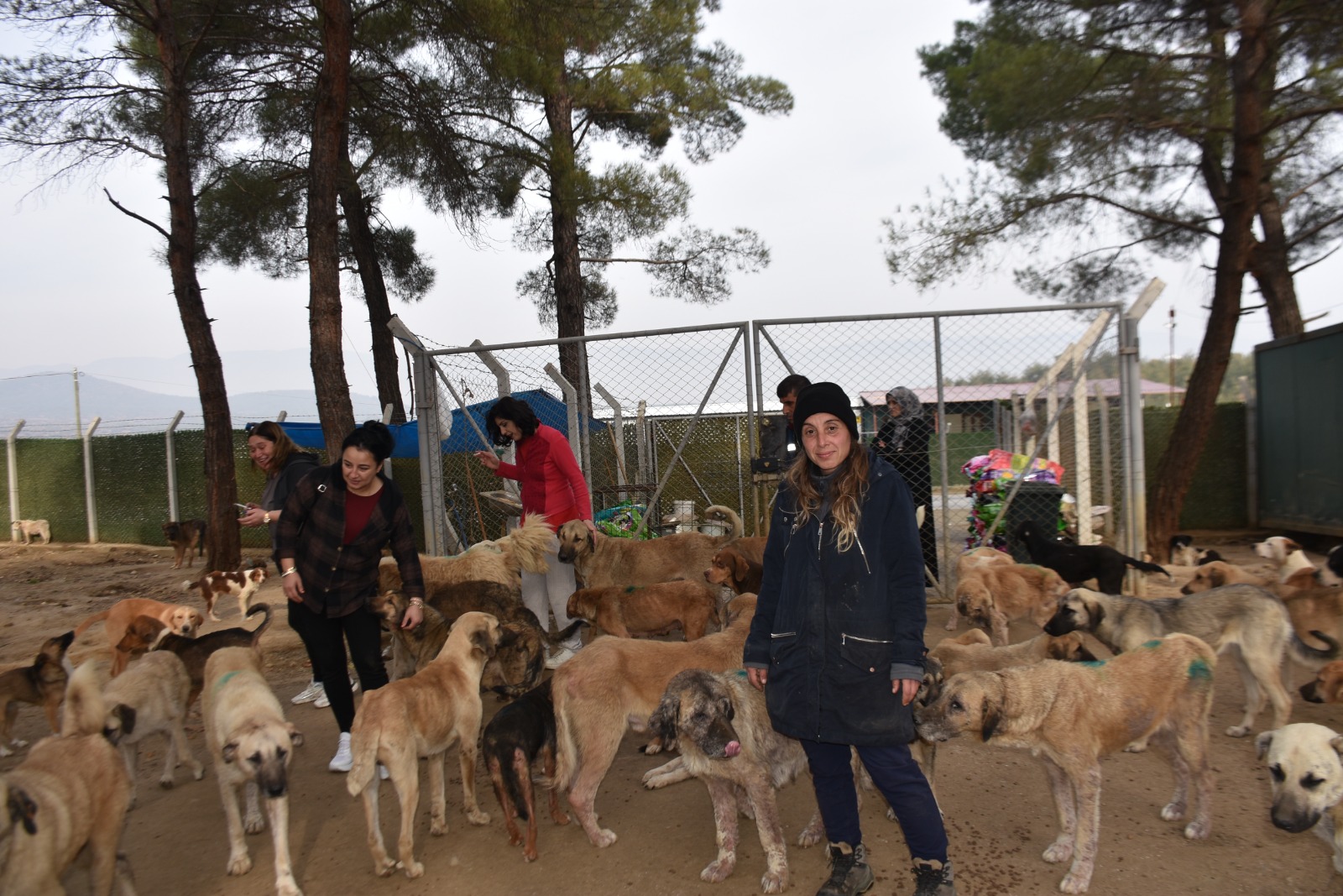 Whatsapp Image 2025 11 24 At 12.29.38 Pm