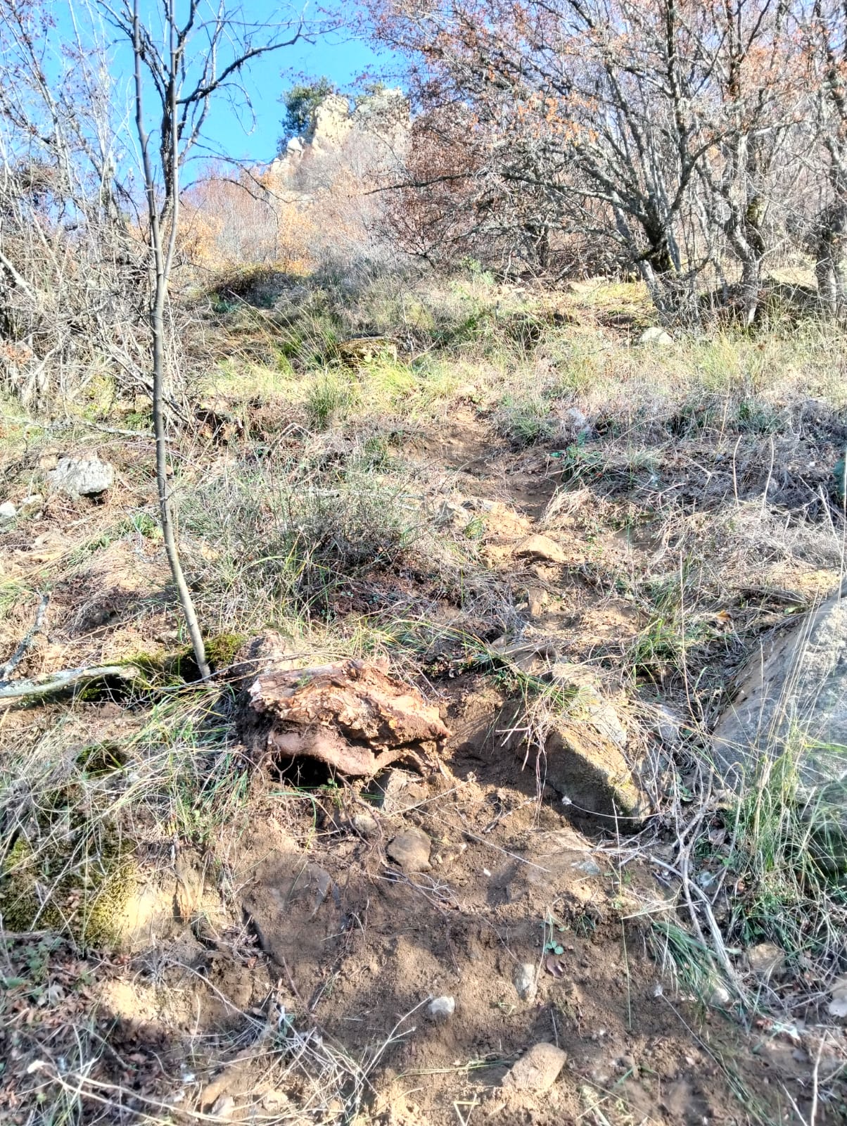 Whatsapp Image 2025 11 29 At 12.26.46 Pm 3