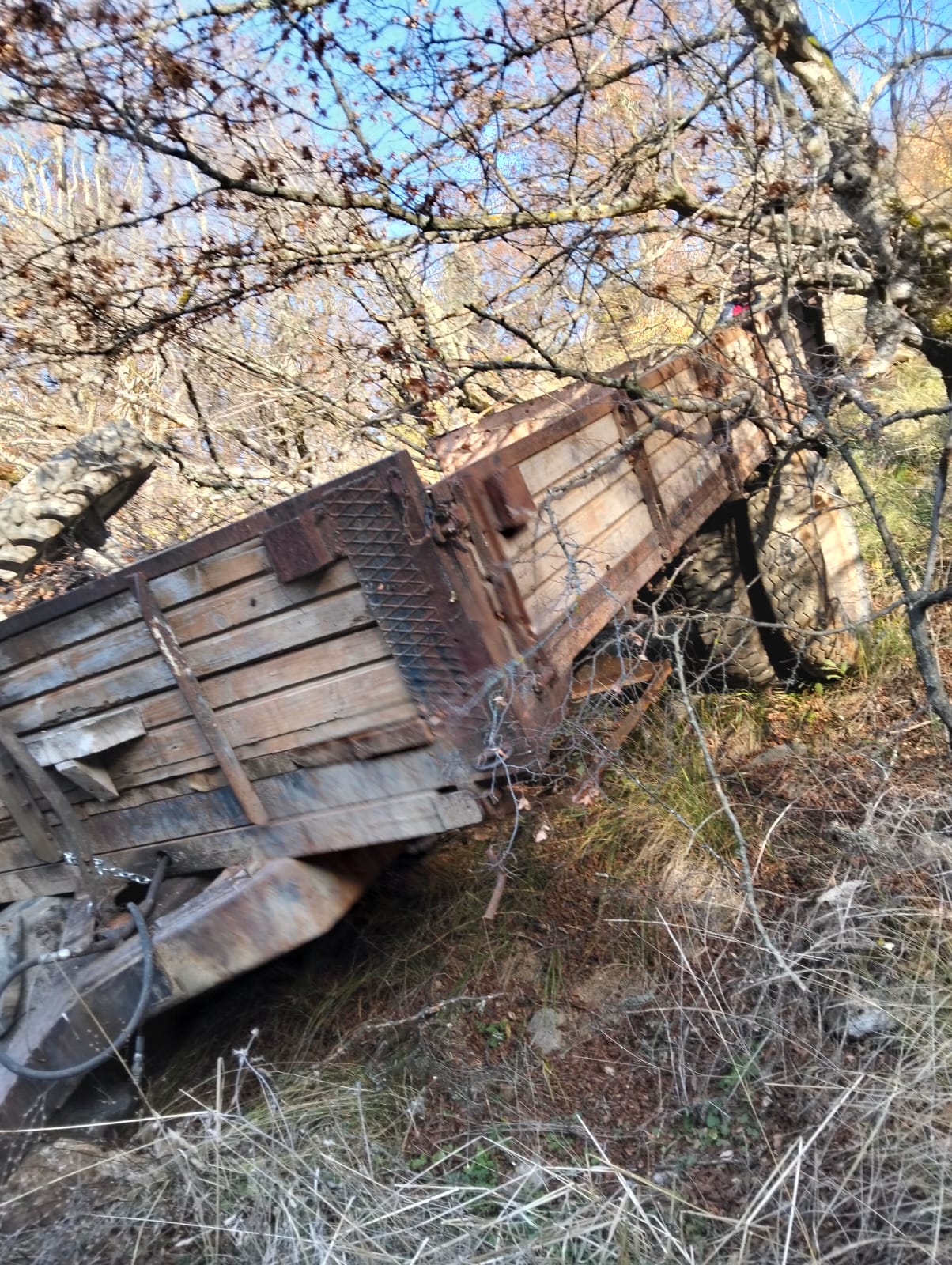 Whatsapp Image 2025 11 29 At 12.26.46 Pm 5