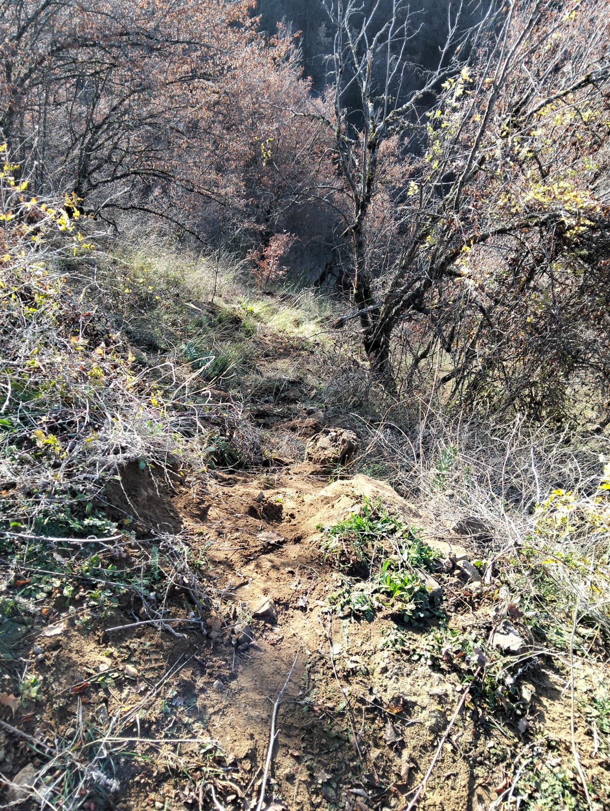 Whatsapp Image 2025 11 29 At 12.26.46 Pm 6