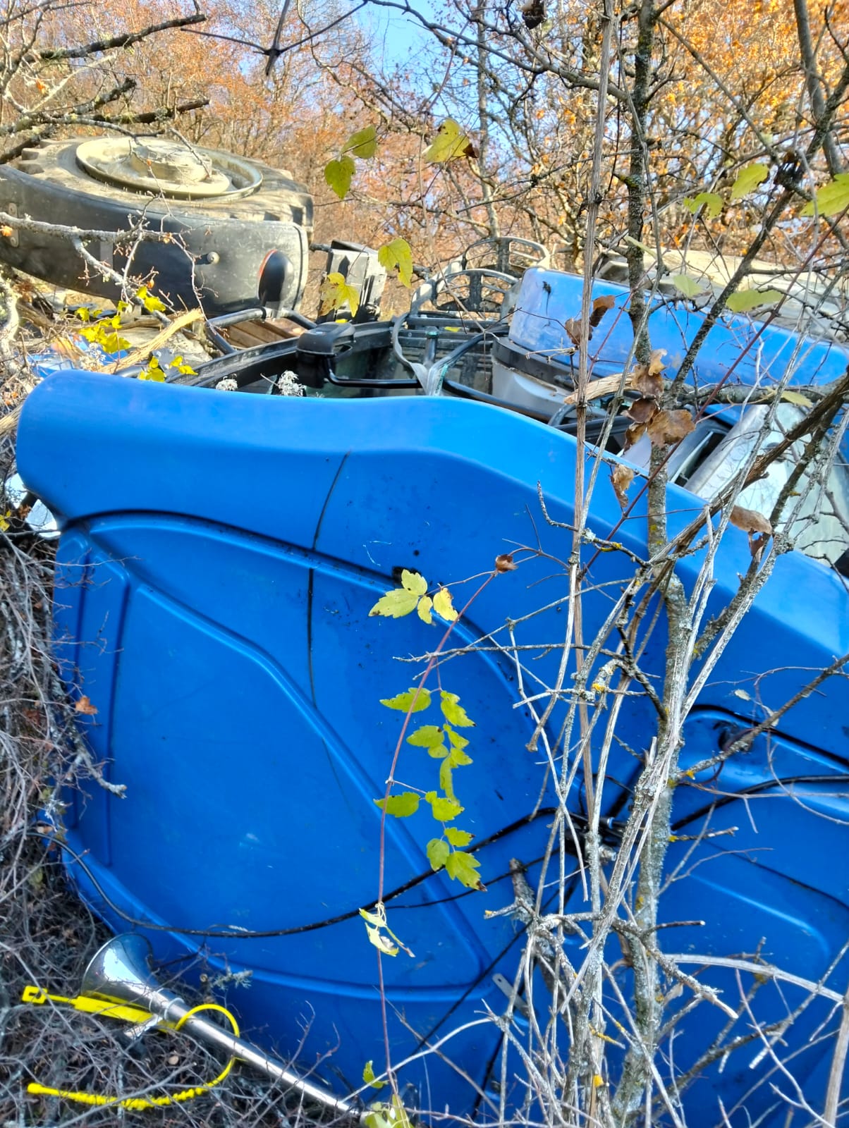 Whatsapp Image 2025 11 29 At 12.26.46 Pm 8