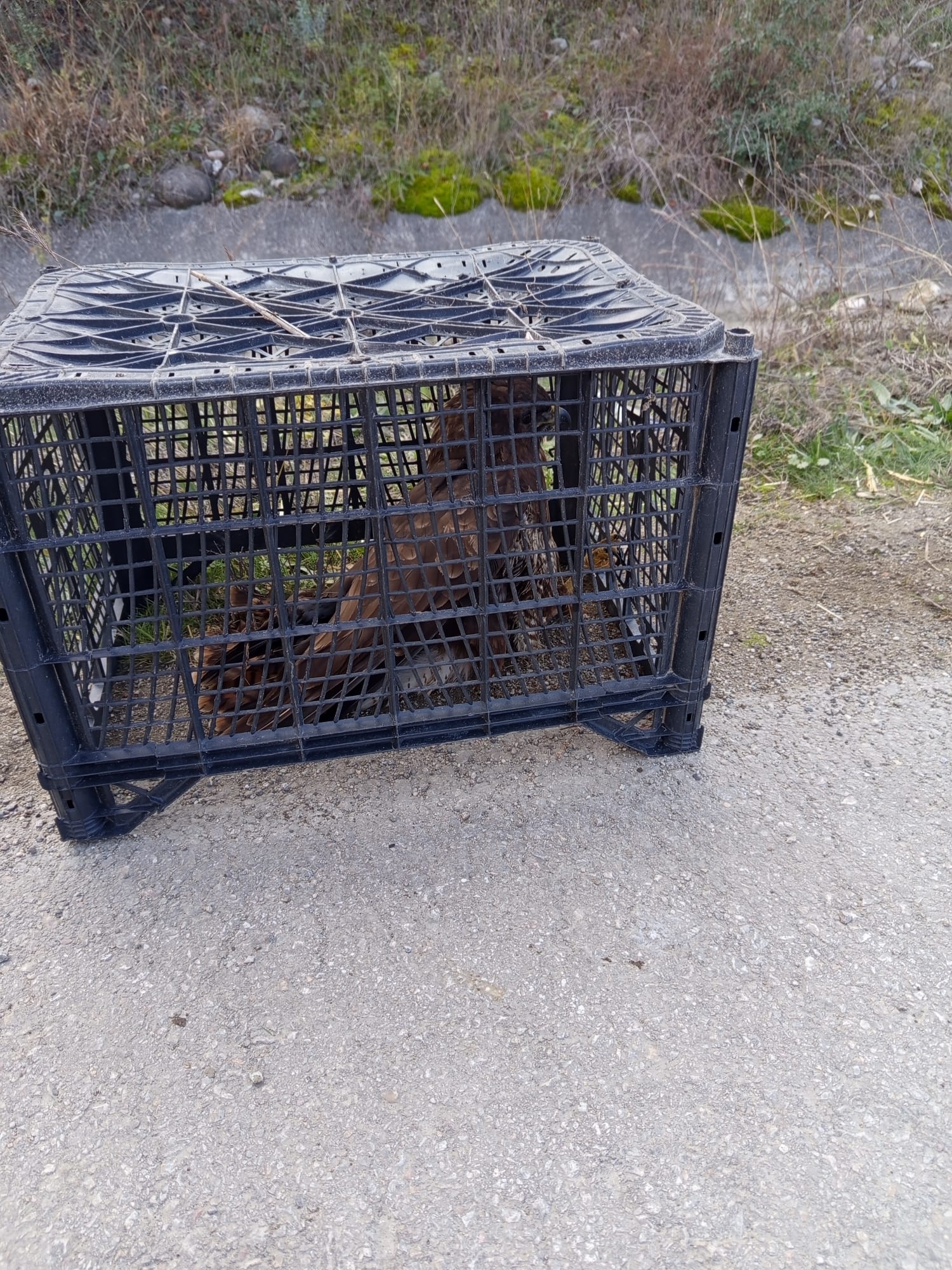 Whatsapp Image 2025 12 01 At 11.36.08 Am 2