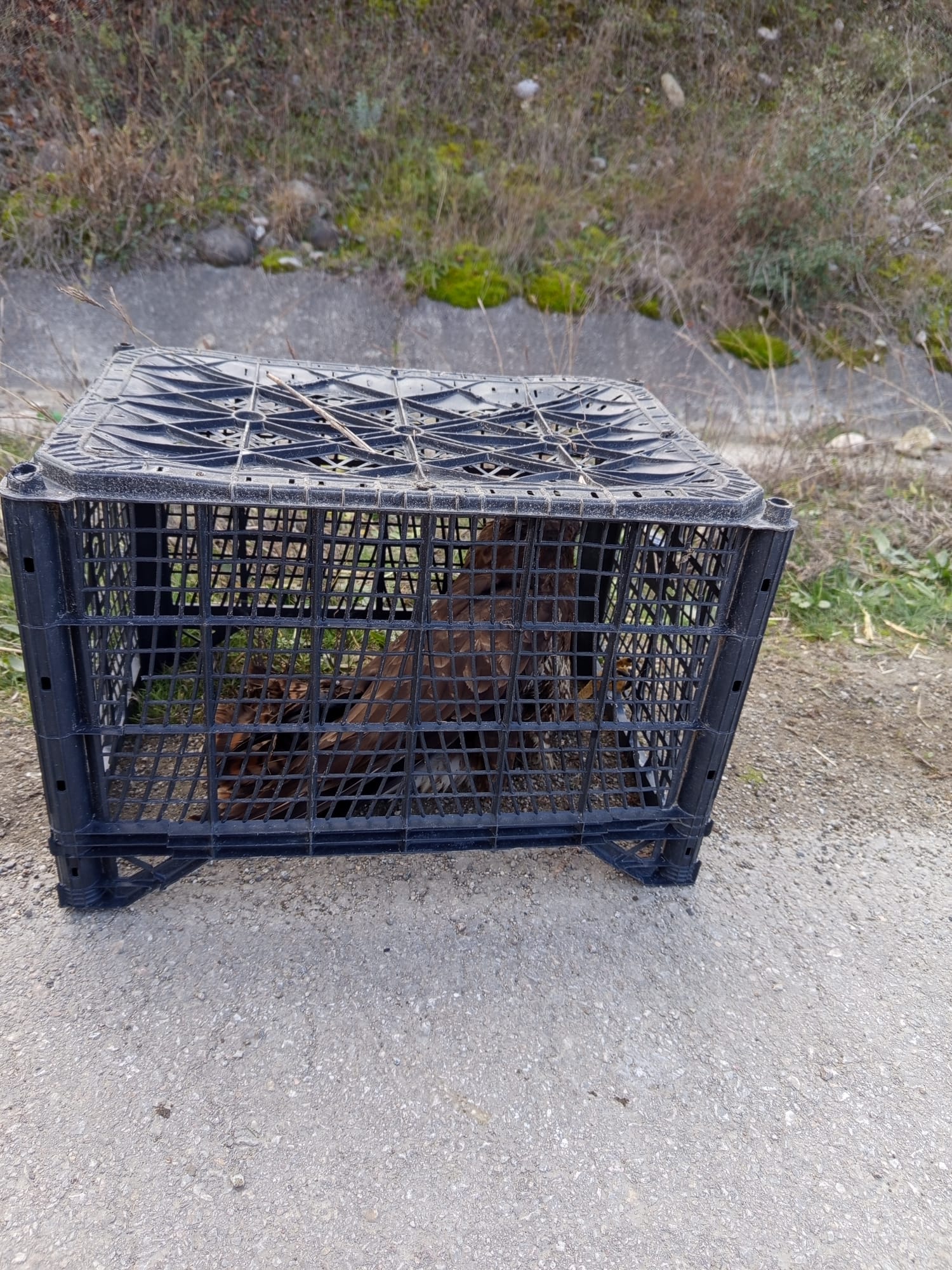 Whatsapp Image 2025 12 01 At 11.36.08 Am