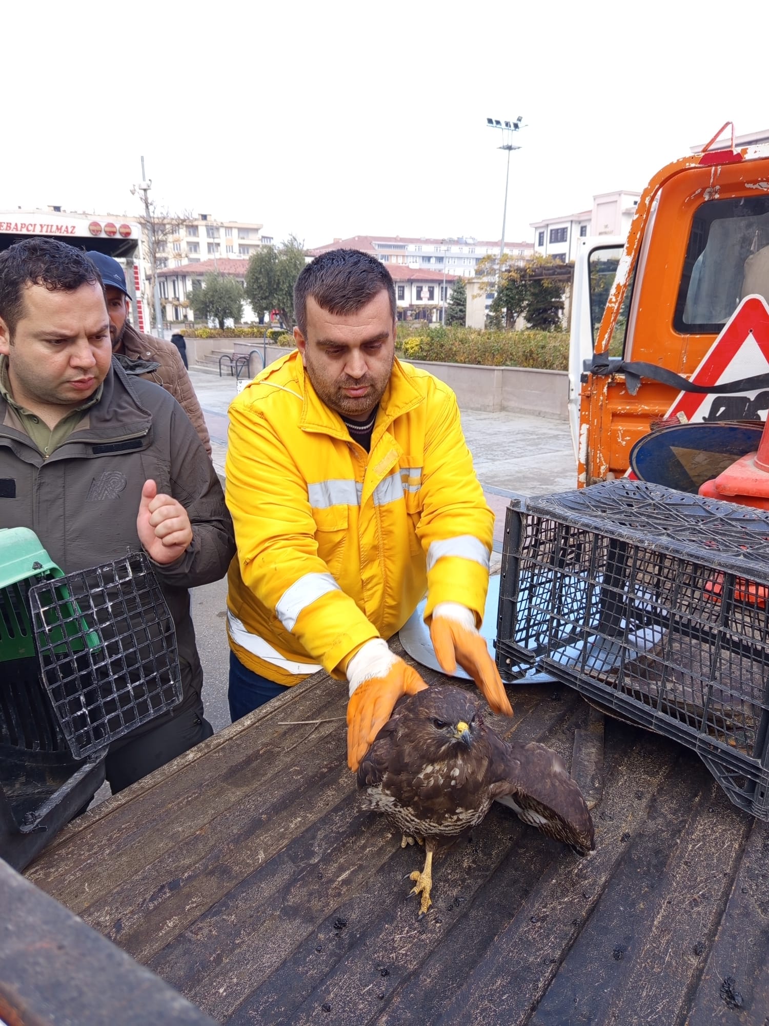 Whatsapp Image 2025 12 01 At 11.36.09 Am