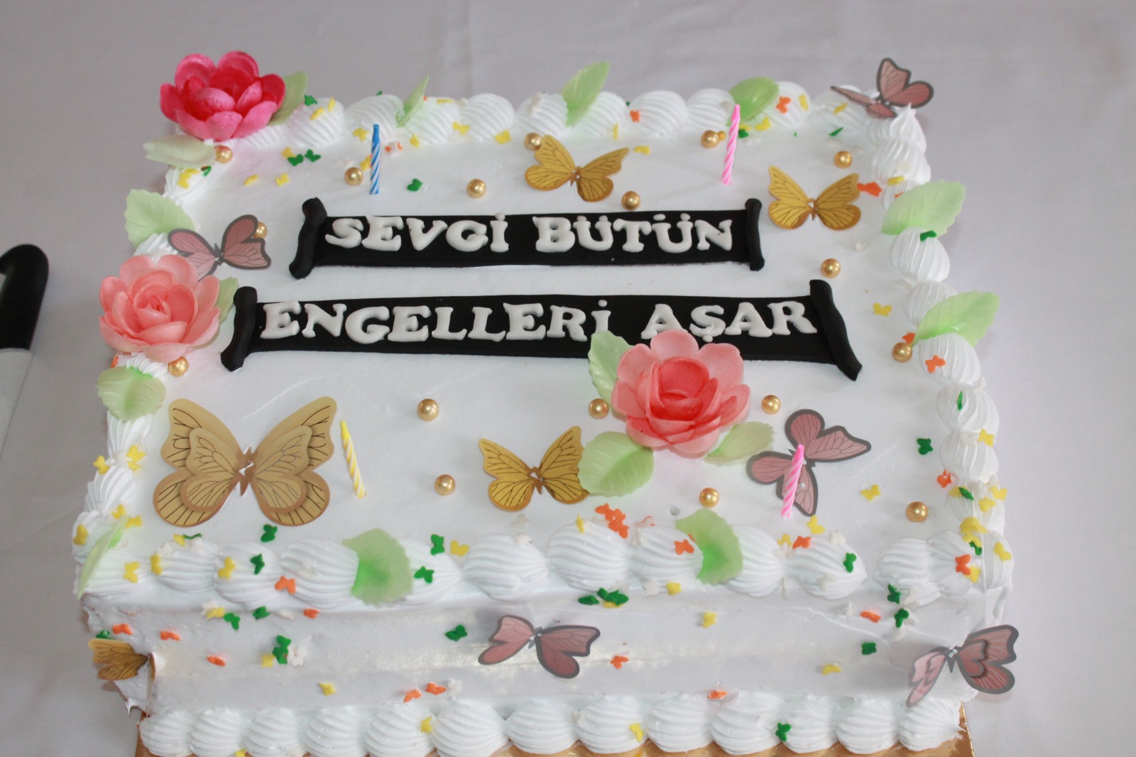 Whatsapp Image 2025 12 03 At 12.29.55 Pm 2