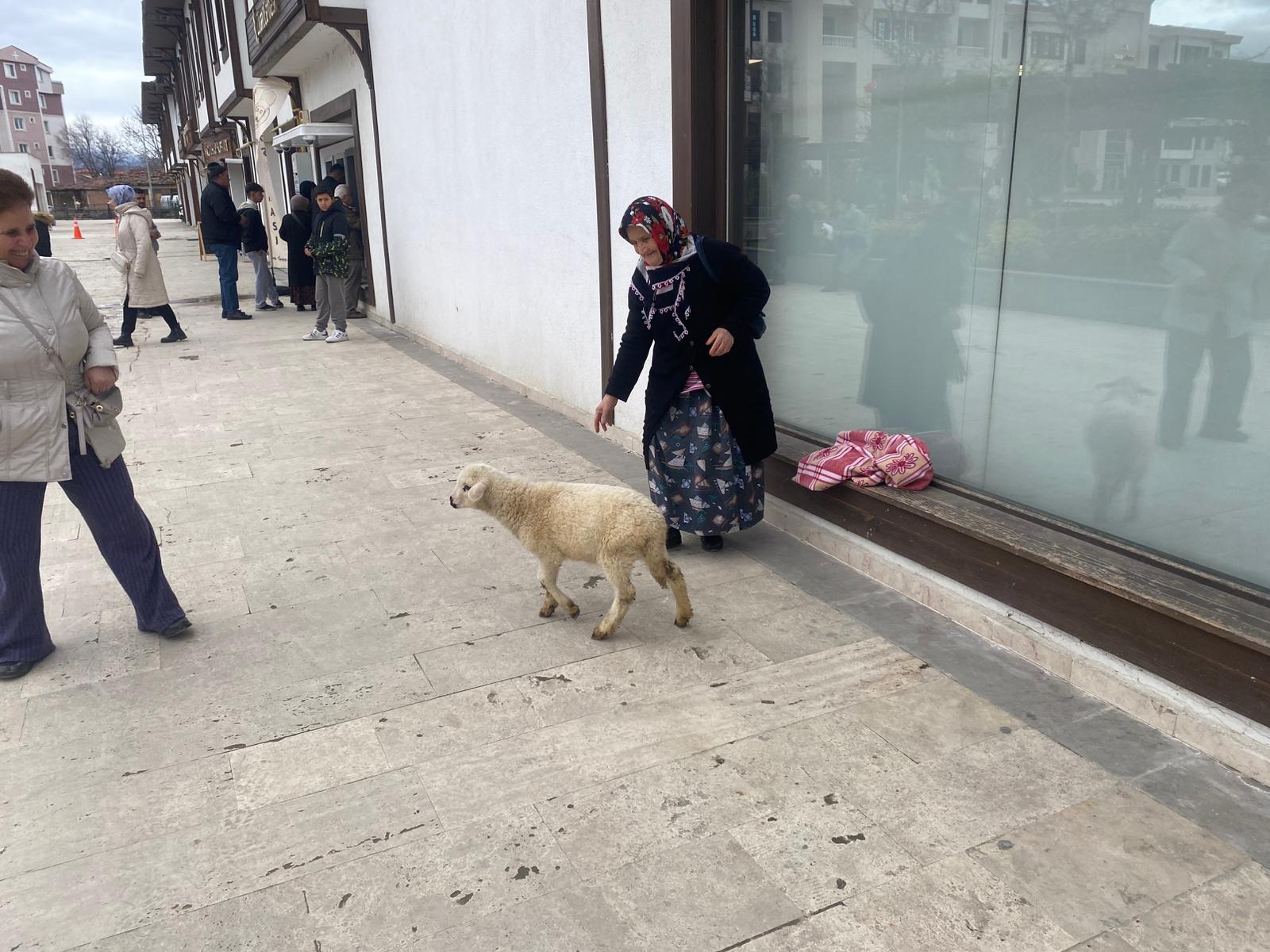 Whatsapp Image 2026 02 05 At 10.19.25 Am 2