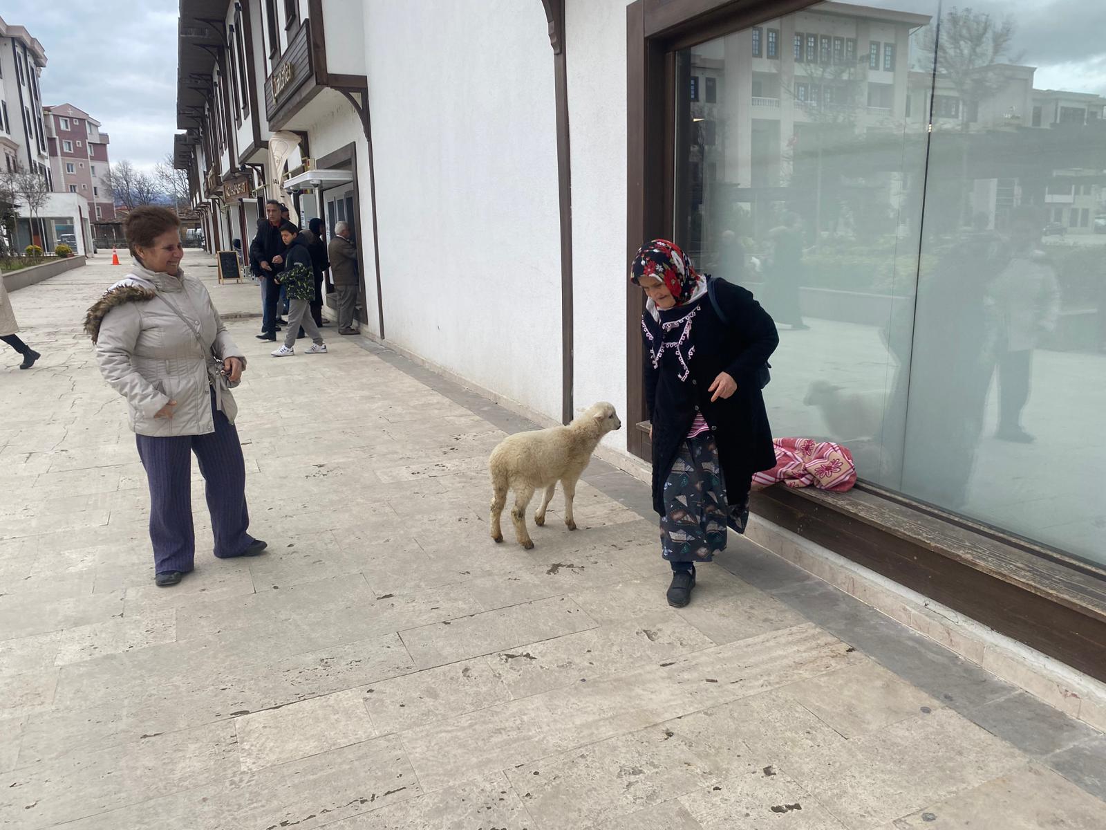 Whatsapp Image 2026 02 05 At 10.19.25 Am 3